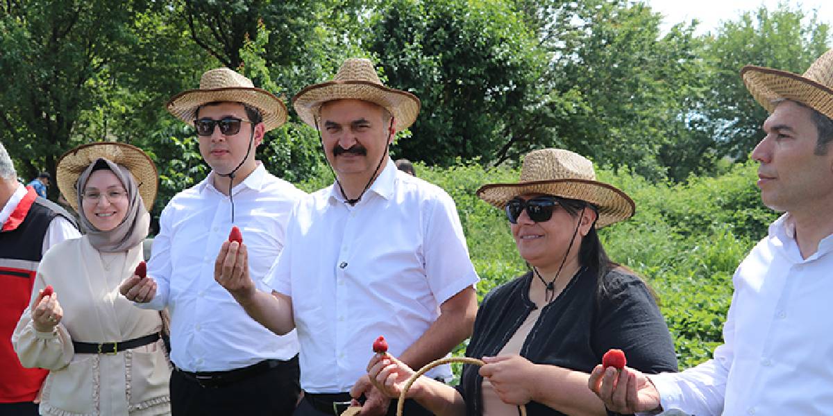 yeni-proje-29.jpg