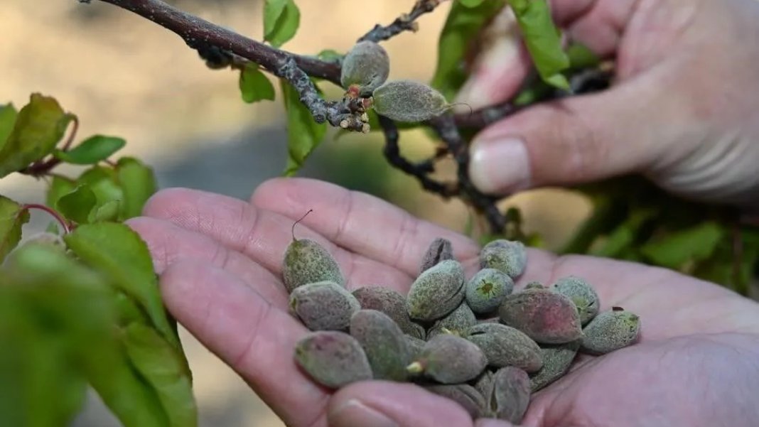 turkiye-boylesini-hic-gormedi-semsi-bayraktar-tarihin-en-buyuk-felaketini-yasiyoruz-3-001