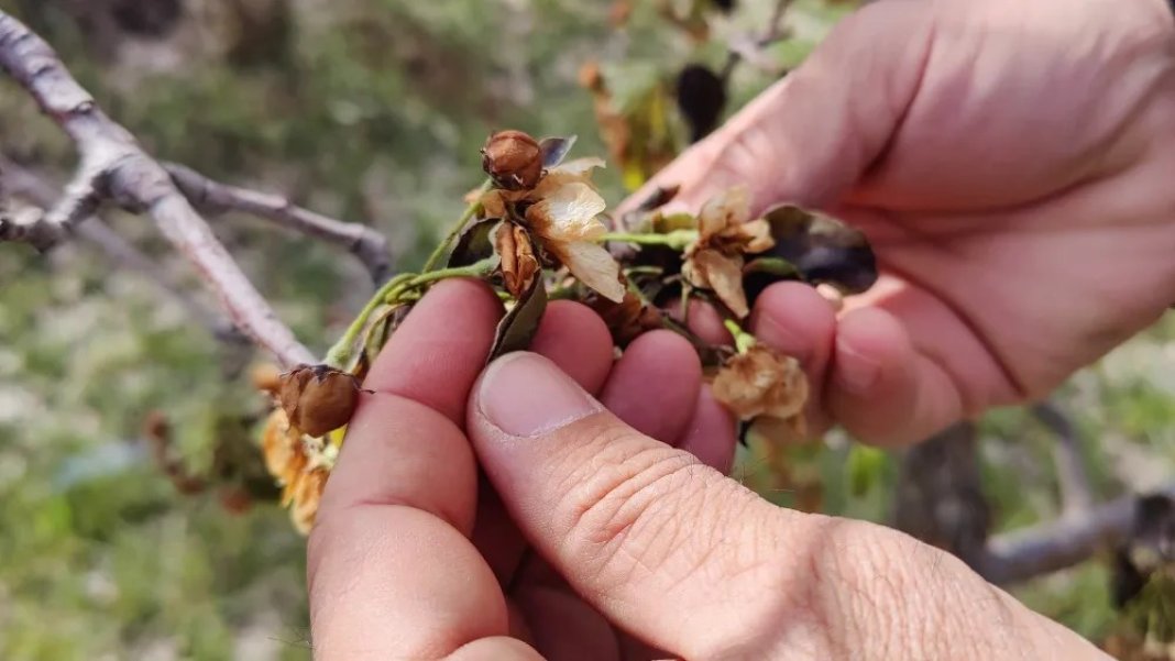 turkiye-boylesini-hic-gormedi-semsi-bayraktar-tarihin-en-buyuk-felaketini-yasiyoruz-5