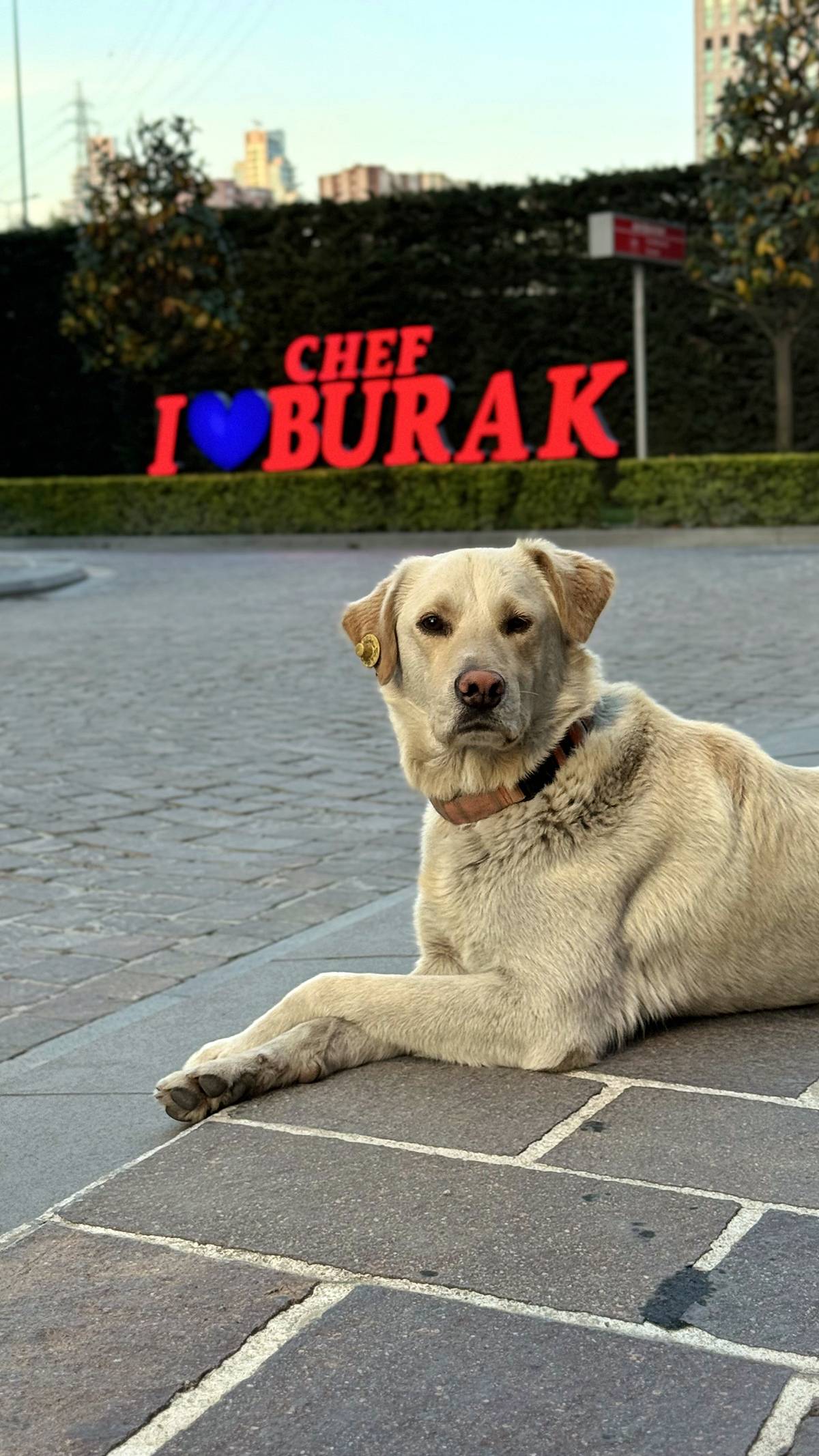 istanbul-sariyer-son-dakika-haberleri-1