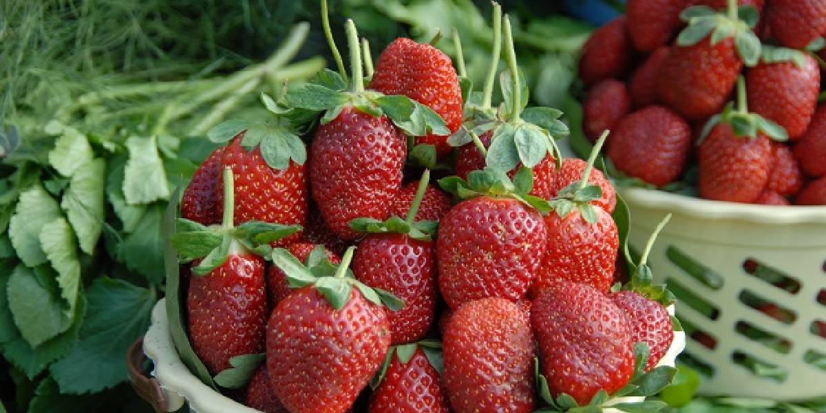 pestisit-en-cok-hangi-sebzelerde-bulunur-1