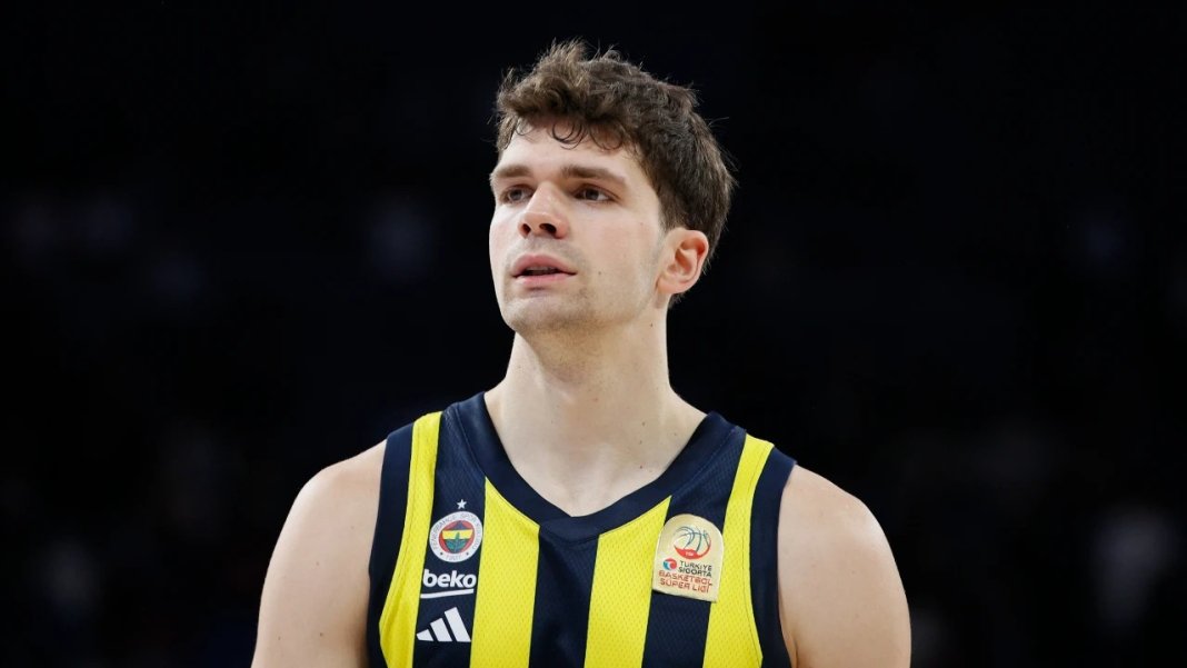 tarik-biberovic.jpeg