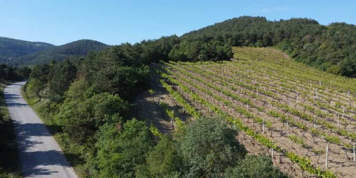 turkiyede-arsanin-en-degerli-oldugu-iller-2