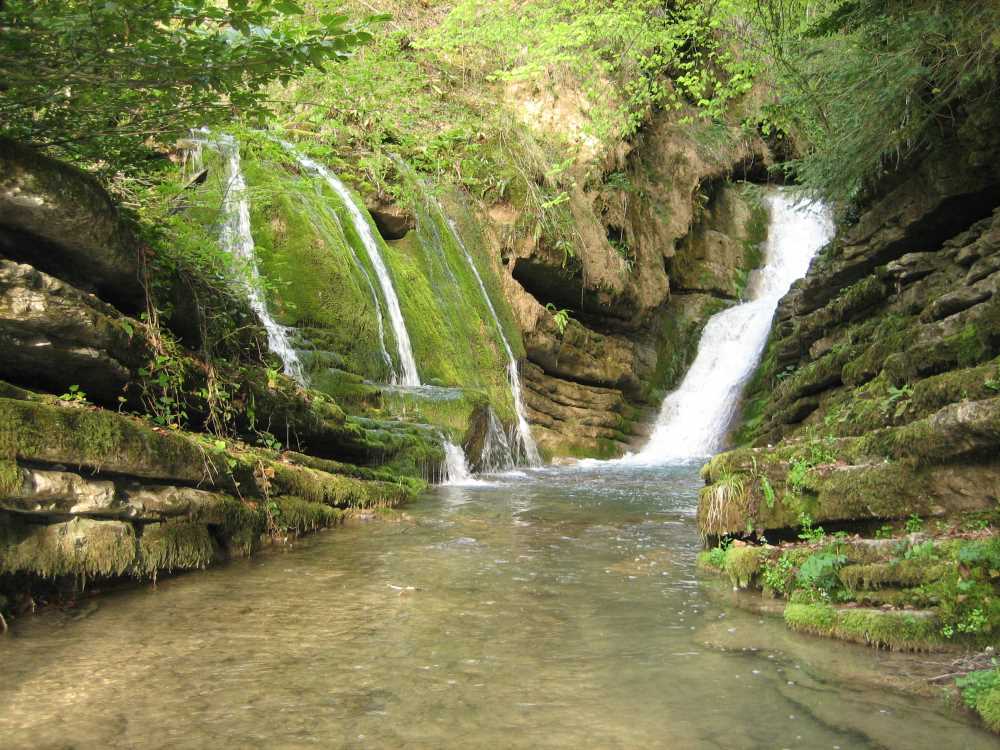 46d567ea-479a-4dda-a58d-dfa8494fda41