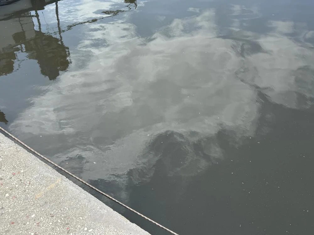 celebi-limani-bandirma-yi-boguyor-yurttaslardan-tepki