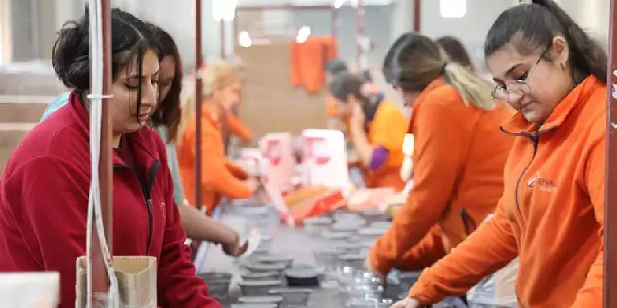 eskisehirli-girisimci-2