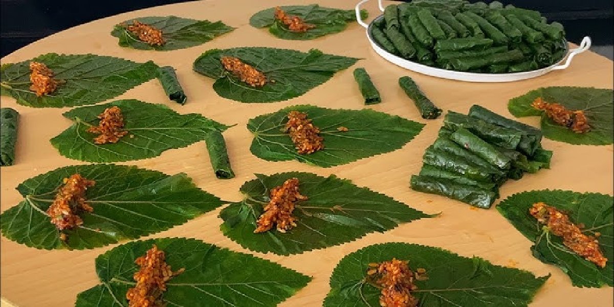 findik-yapragi-sarma
