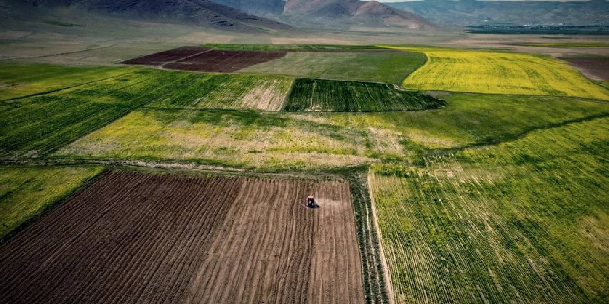 milli-emlak-ankara-2