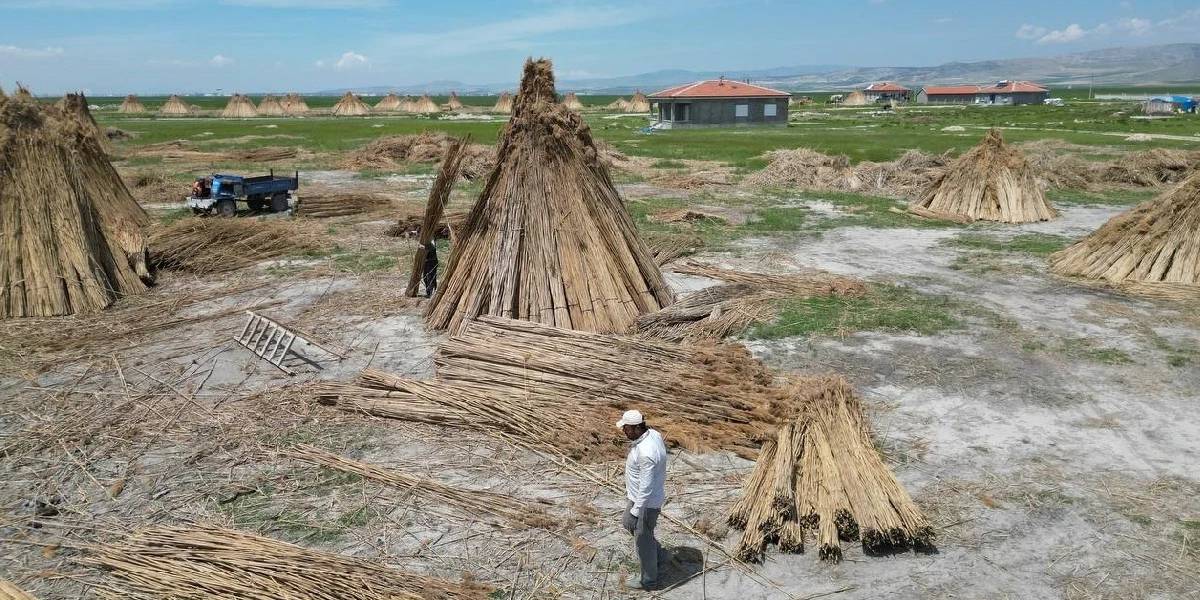 afyonkarahisarda-kamis-hasadi-basladi-1