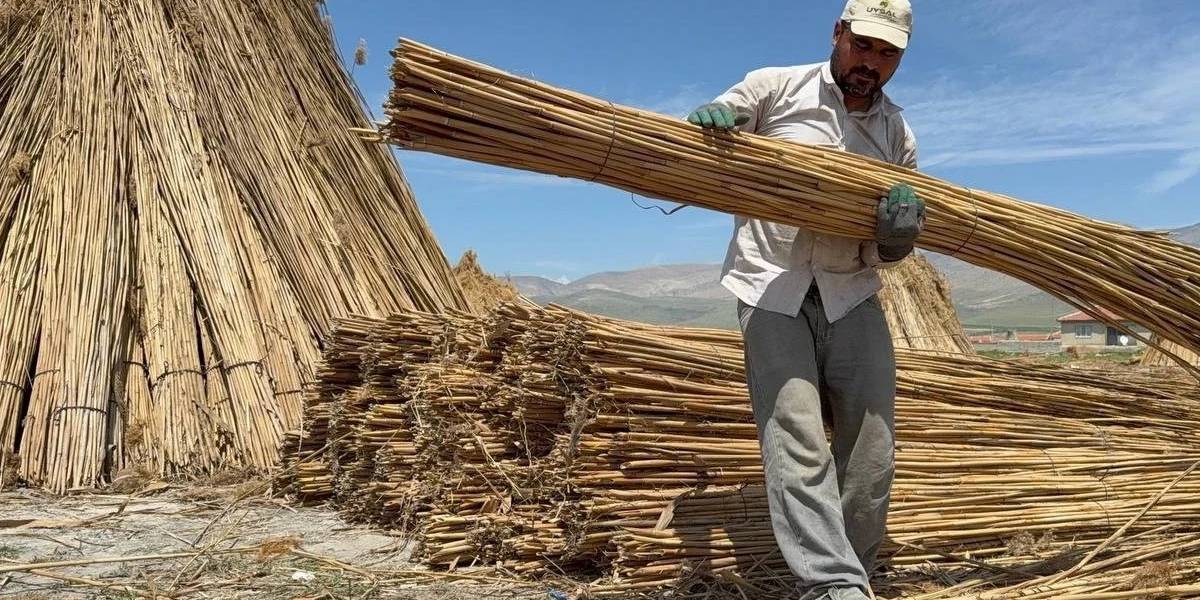 afyonkarahisarda-kamis-hasadi-basladi-2