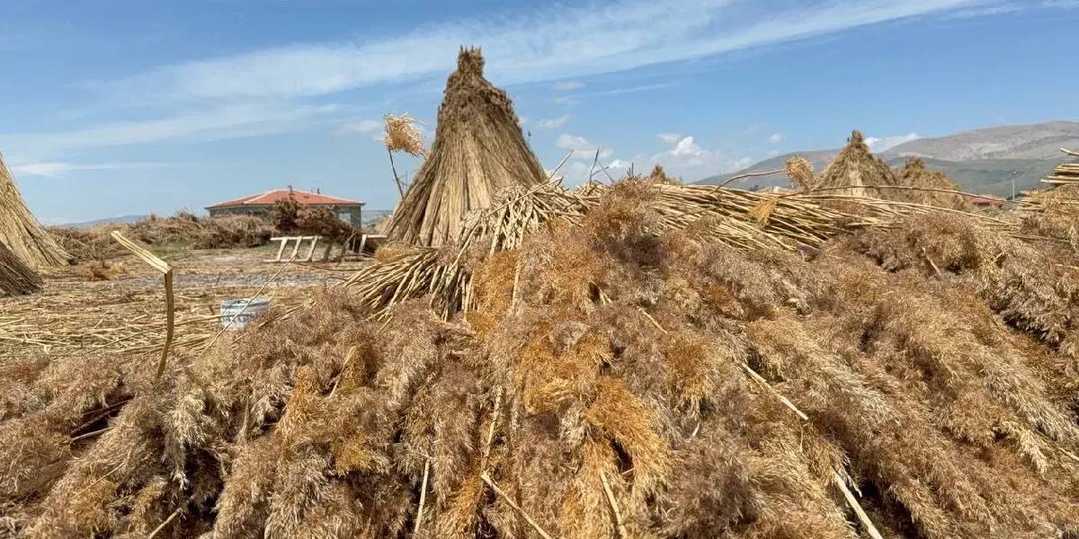 afyonkarahisarda-kamis-hasadi-basladi-3