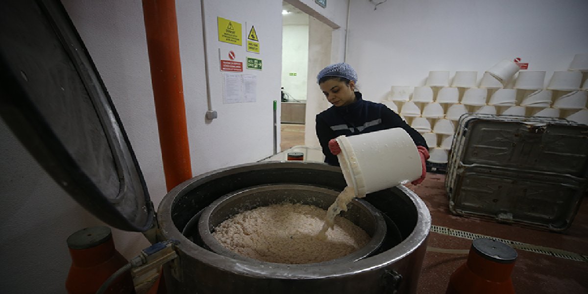 sukriye-ozbilen-yumurta