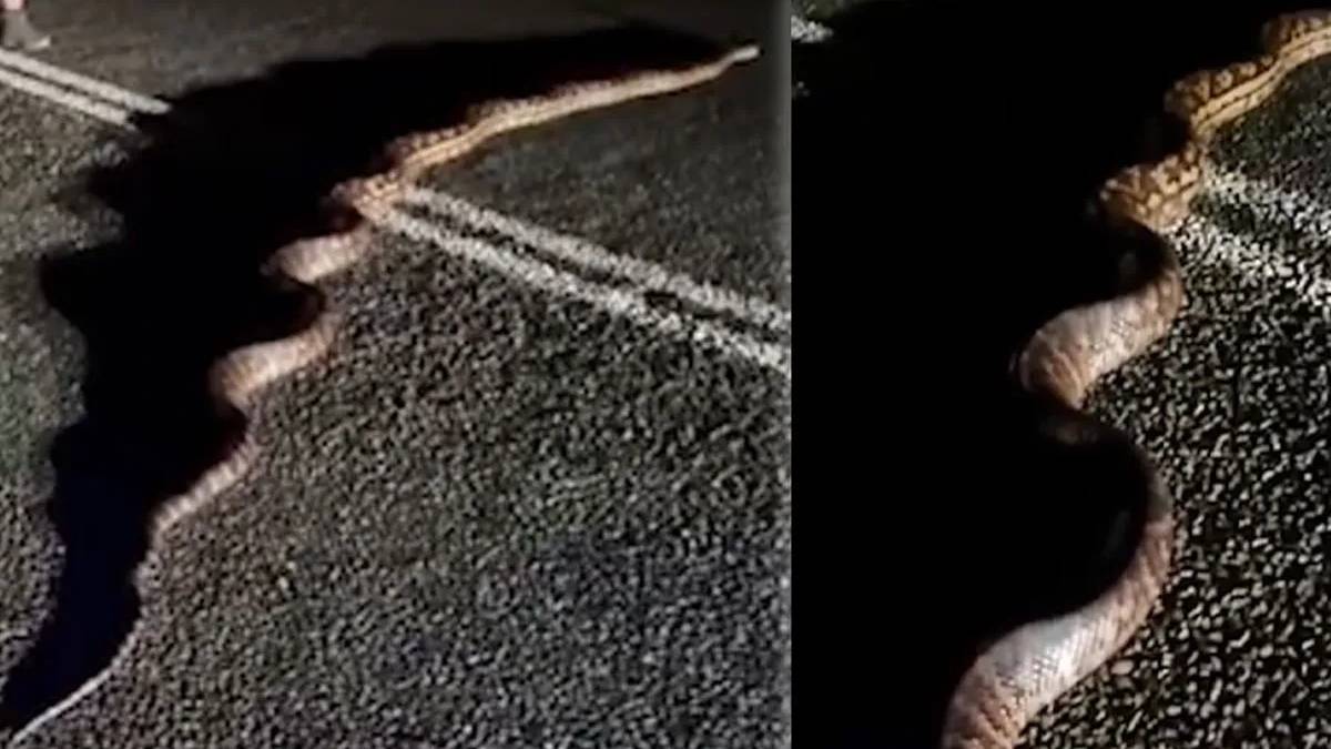 yeni-proje-2025-05-28t114127-306