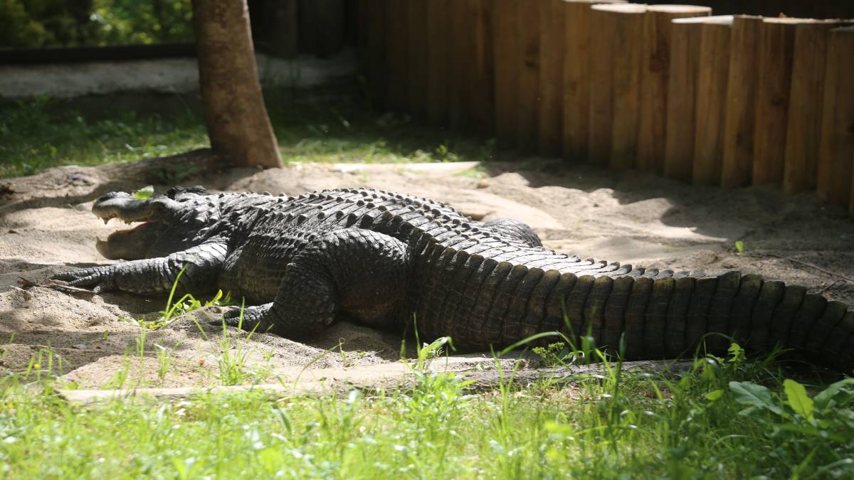 yeni-proje-2025-05-28t123126-172