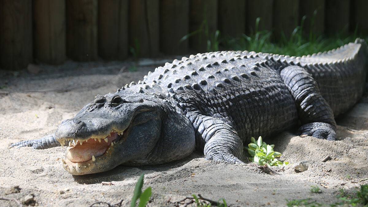 yeni-proje-2025-05-28t123135-525