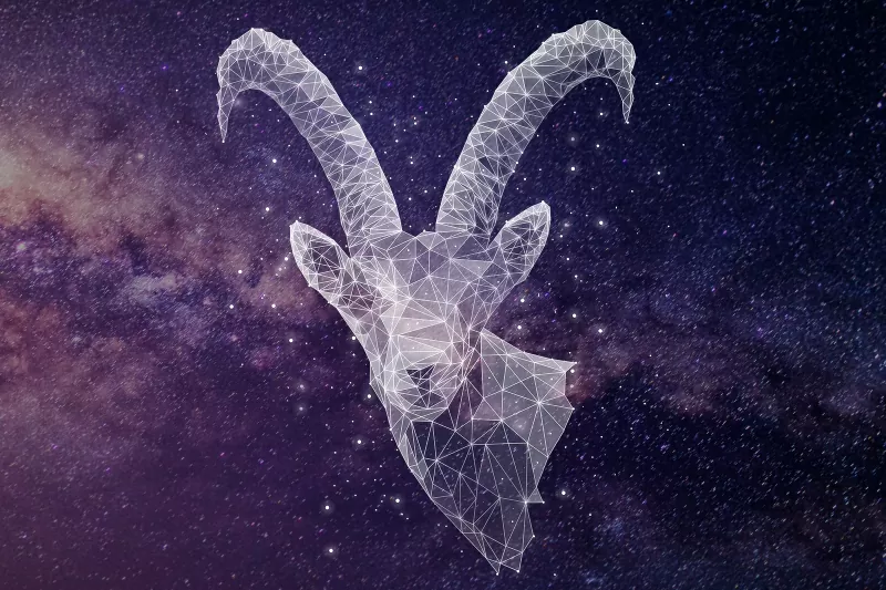 278938-800x533-zodiac-sign-matches-capricorn