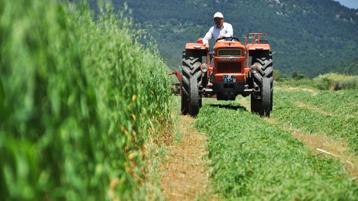 resim-2025-05-29-131658286