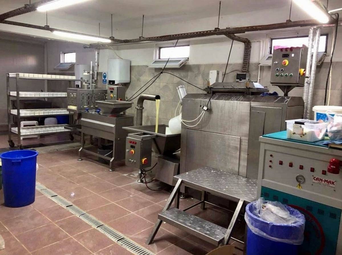 sahte-kasar-peyniri-gunu-gecmis-bozuk-kasar-peyniri-nasil-anlasilir-1