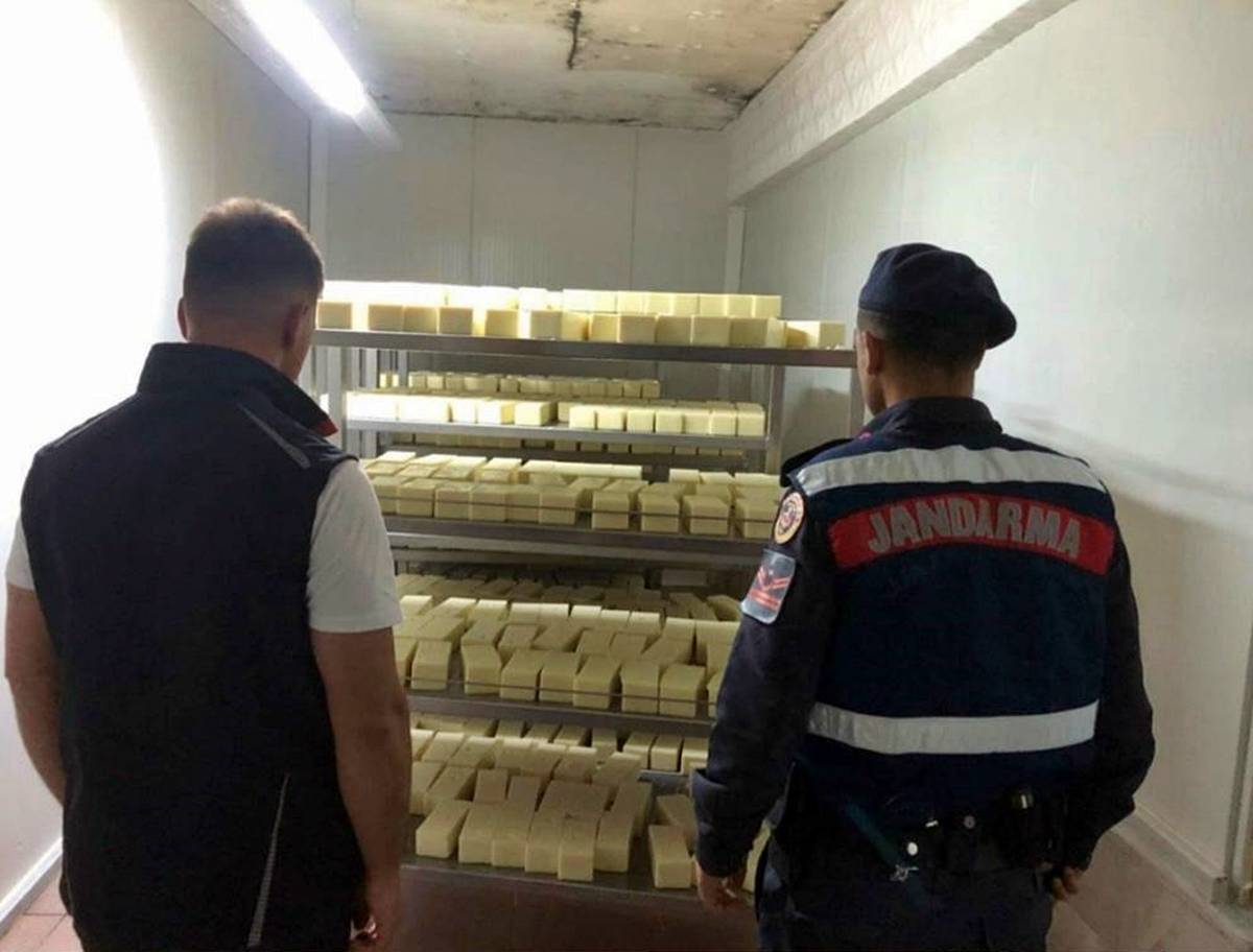 sahte-kasar-peyniri-gunu-gecmis-bozuk-kasar-peyniri-nasil-anlasilir-3