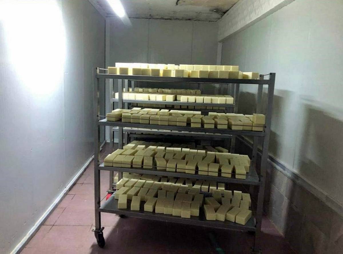 sahte-kasar-peyniri-gunu-gecmis-bozuk-kasar-peyniri-nasil-anlasilir-6