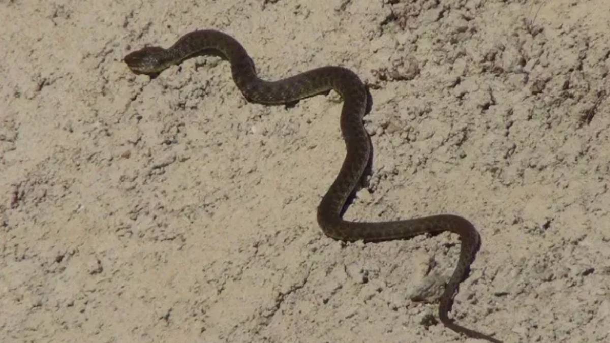 yeni-proje-2025-05-29t112029-733