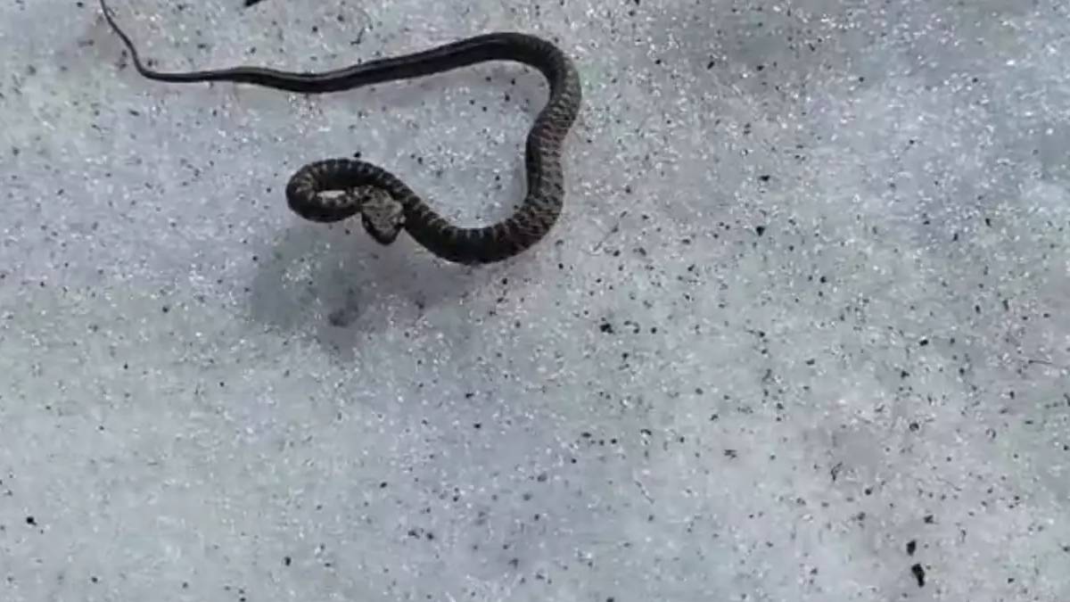 yeni-proje-2025-05-29t112040-855