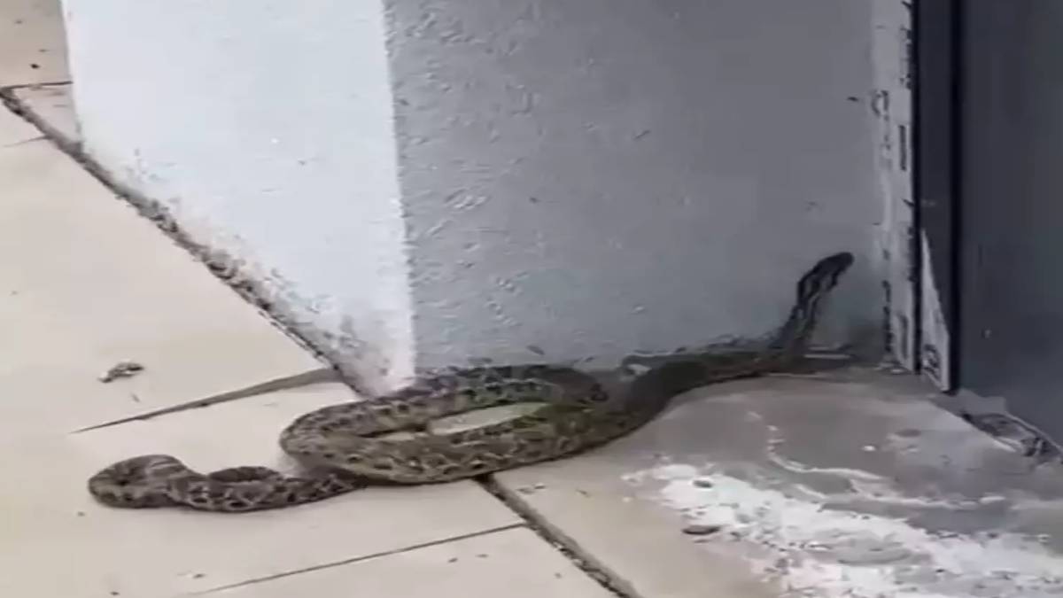 yeni-proje-2025-05-29t135134-737