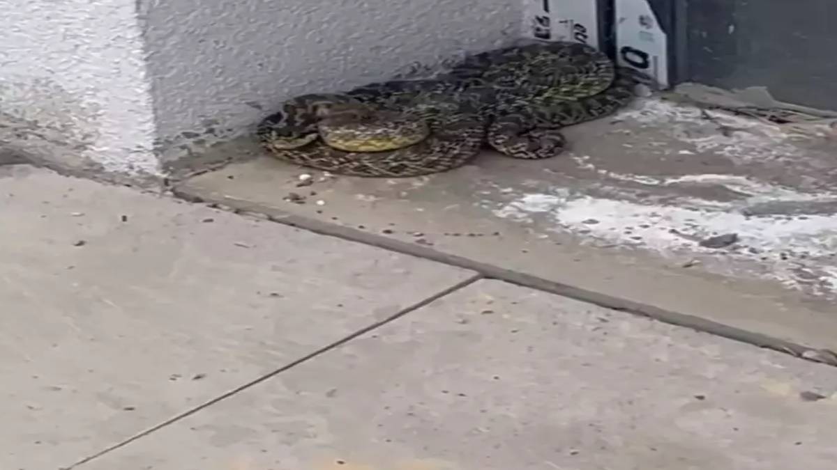 yeni-proje-2025-05-29t135144-408