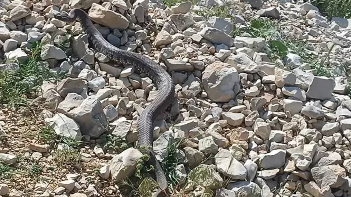 yeni-proje-2025-05-29t135157-757