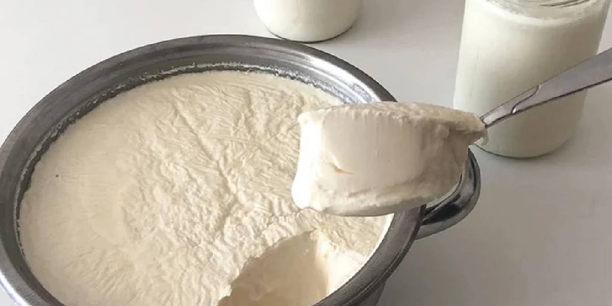 yogurdun-eksimesini-onleyen-yontem-1