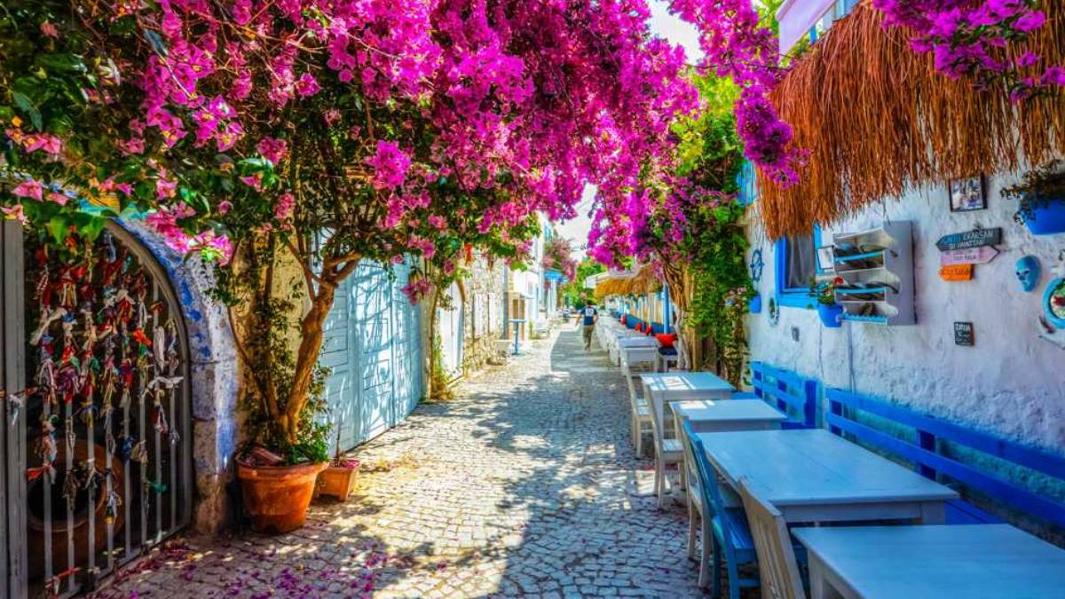 yeni-proje-2025-05-31t104914-744