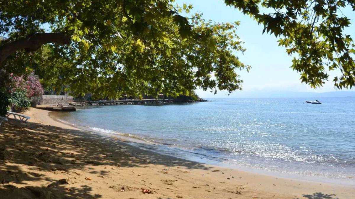 yeni-proje-2025-05-31t104926-782