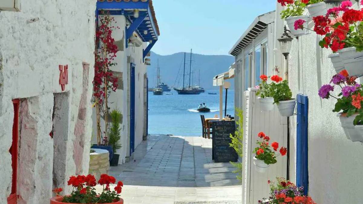 yeni-proje-2025-05-31t104936-309