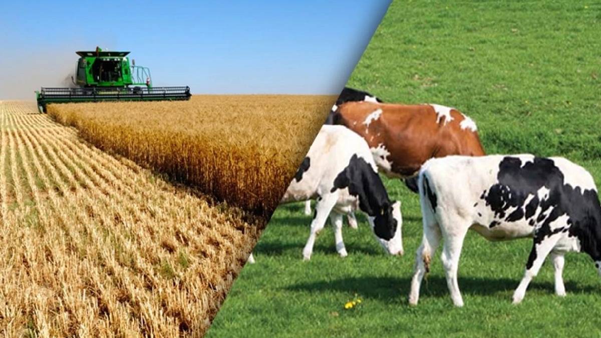 yeni-proje-2025-05-31t135307-740