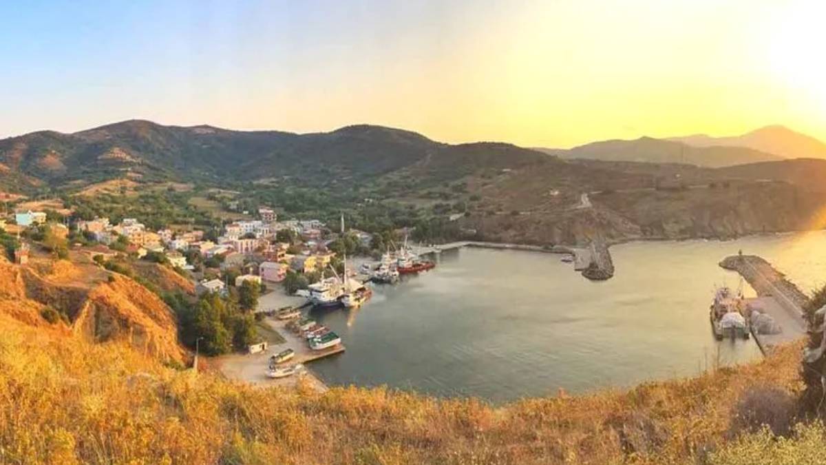 yeni-proje-2025-05-31t140150-868