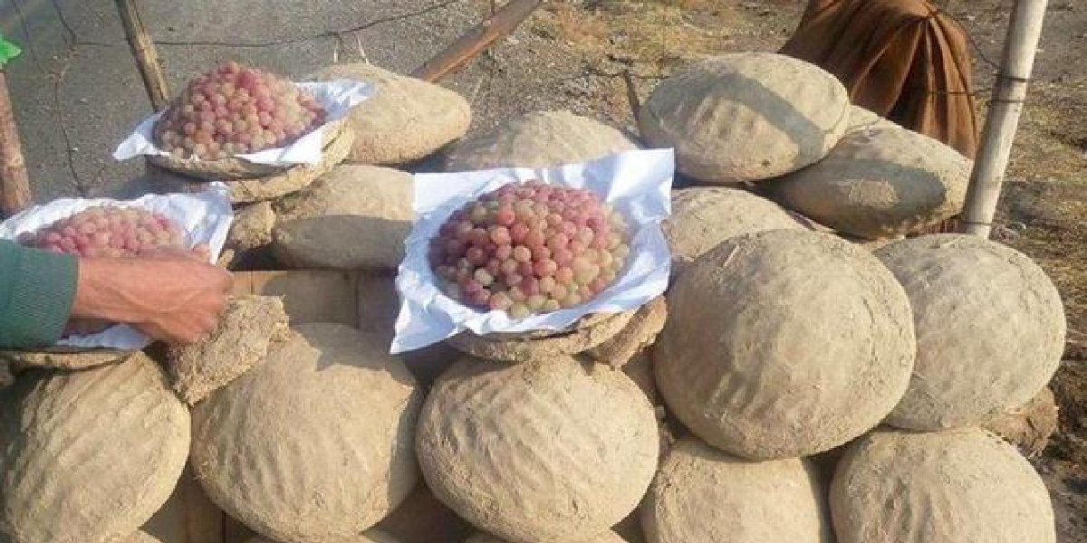 camurda-meyve-saklama