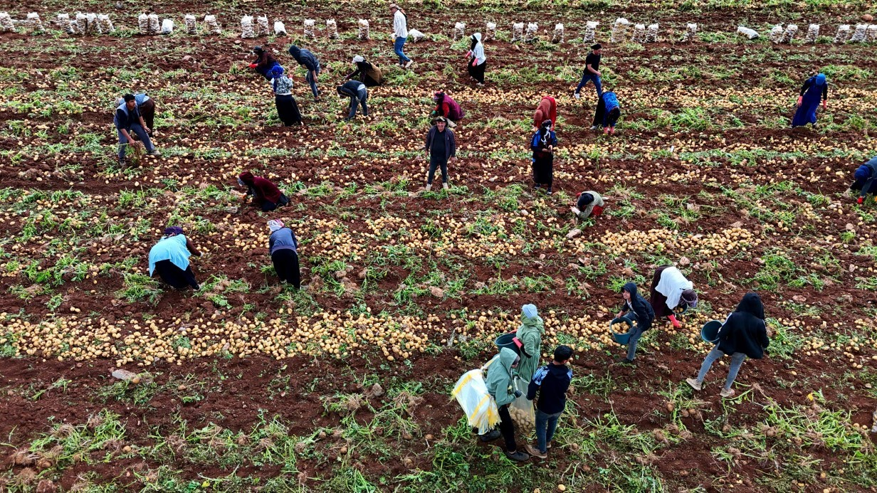 resim-2025-06-02-143420277