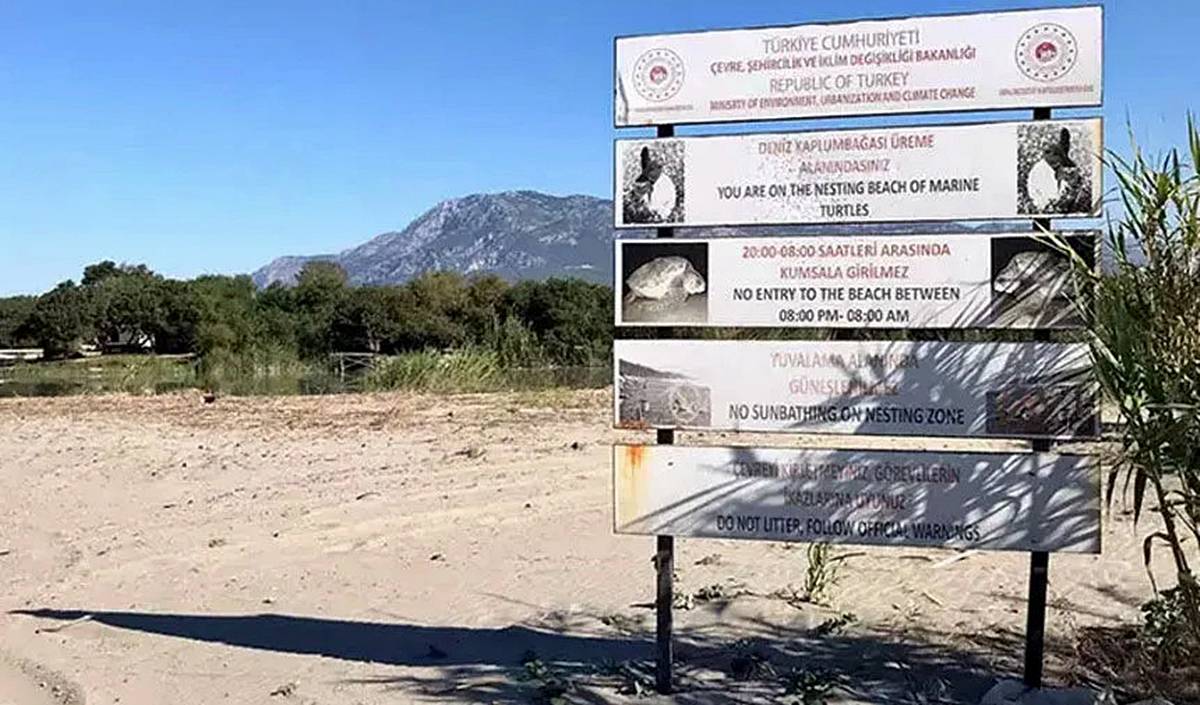 caretta-caretta-kaplumbagalar-turkiyede-nerede-yumurtluyor-1