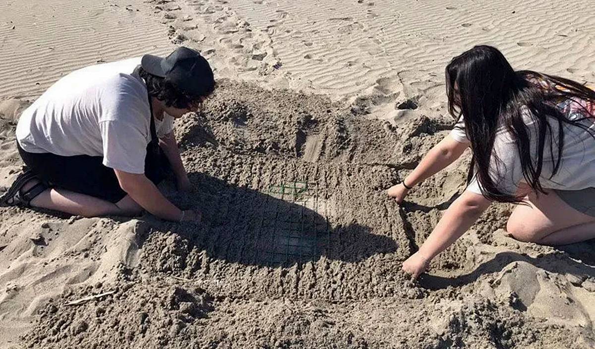 caretta-caretta-kaplumbagalar-turkiyede-nerede-yumurtluyor-2