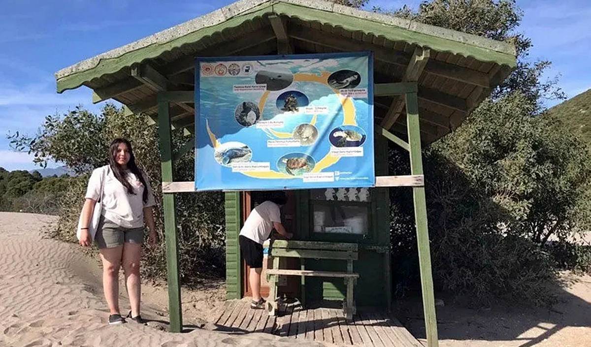 caretta-caretta-kaplumbagalar-turkiyede-nerede-yumurtluyor-5