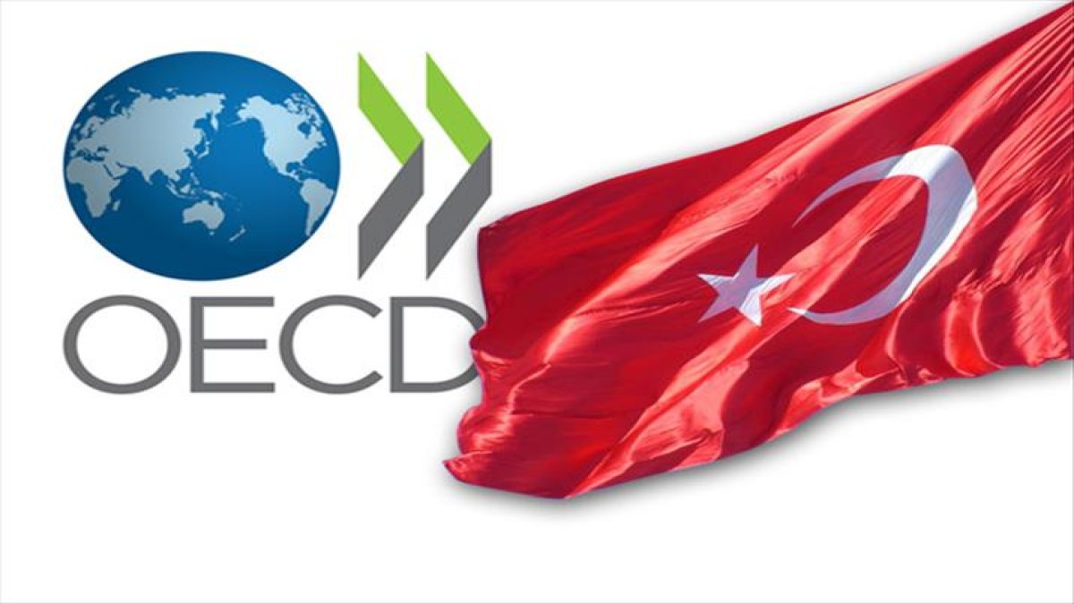 oecdden-turkiye-ekonomisi-icin-yeni-buyume-tahmini-2