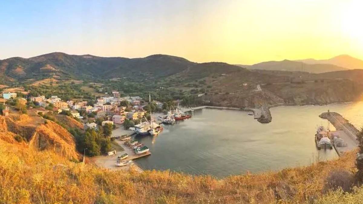 yeni-proje-2025-06-03t131731-085