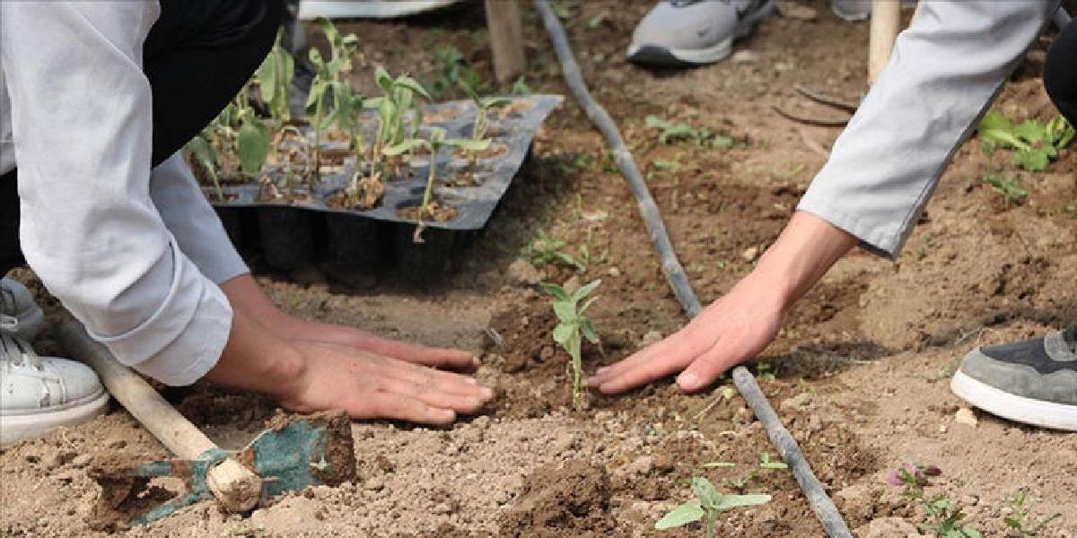 yozgatta-ogrenciler-1