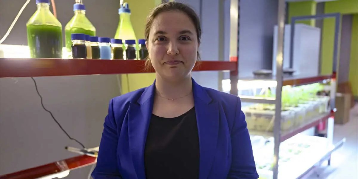 aygen-savas-alkan-alg