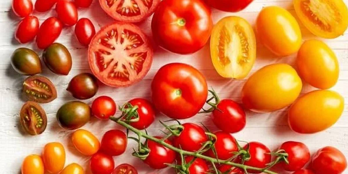 yeni-proje-17.jpg