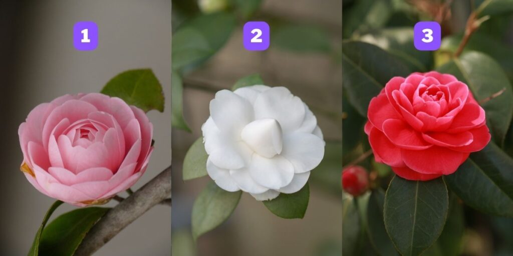 perso-abm-2907-p9wb0y-1024x512