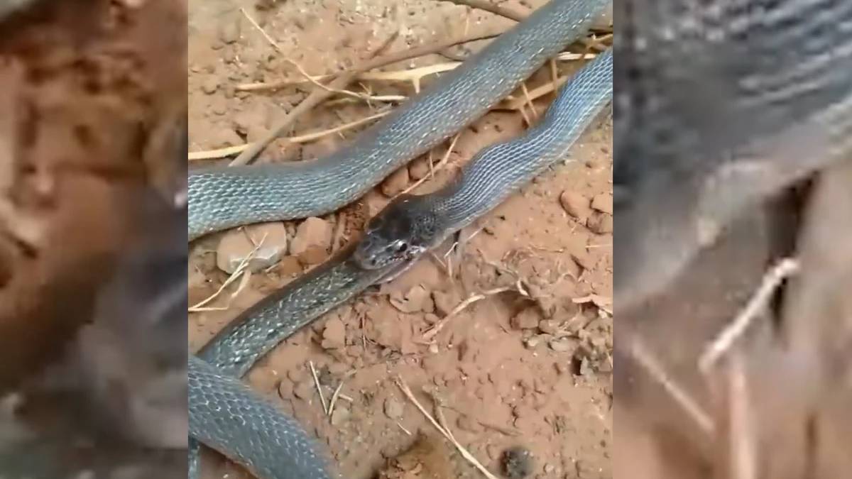 yeni-proje-2025-06-05t110751-320