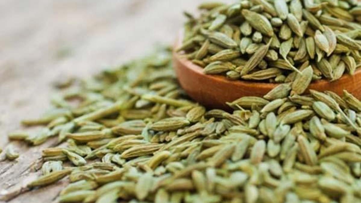 61584cd045d2a061ccf688cc