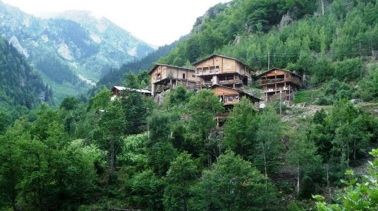 deepnature-161-1462893609