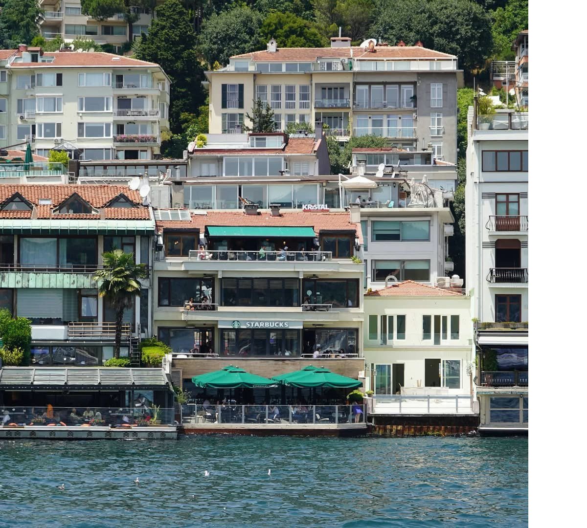 whatsapp-image-2025-06-06-at-12-08-44